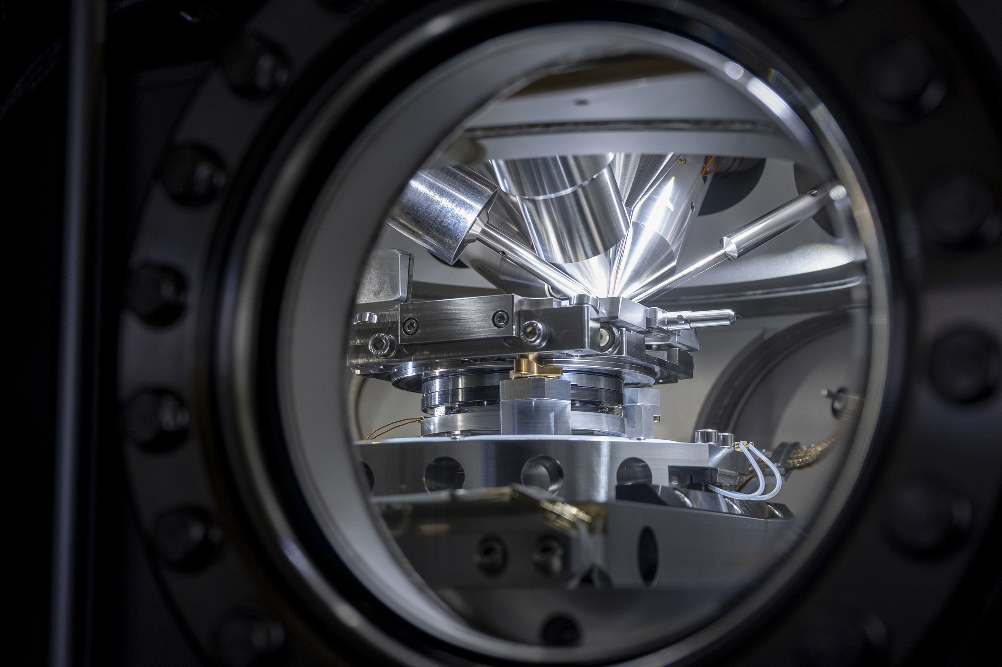 View of a plant through a round window